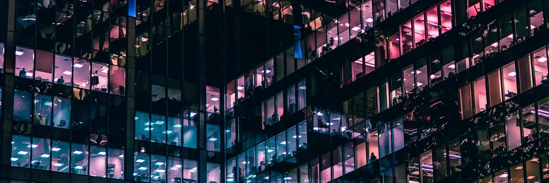 Portada-Employment-Report