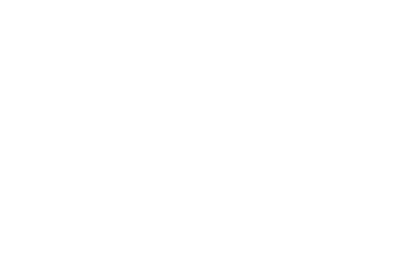 Logo DMI Digital Marketing Institute - Membresía