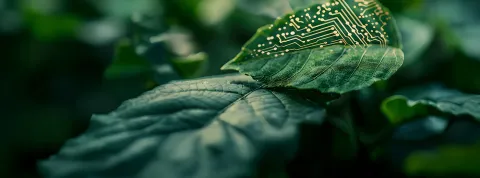 Descubre el Alumni Day con Google