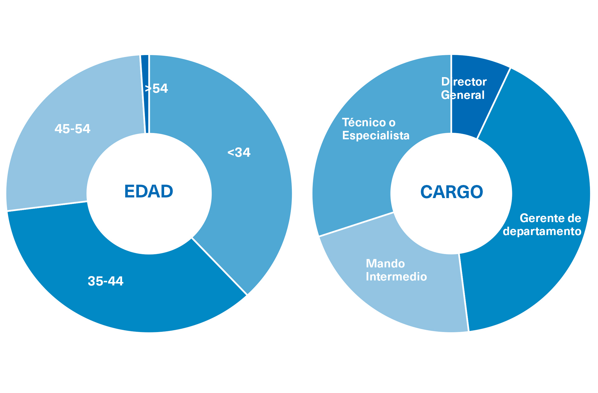 Perfil de estudiante del Máster en Supply Chain Management & Logistics