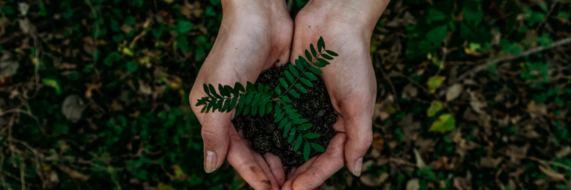 Descubre los motivos por los que estudiar RSC y Liderazgo Sostenible