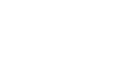 HubSpot white ES