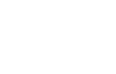 FSO - OBS Logo FSO - OBS