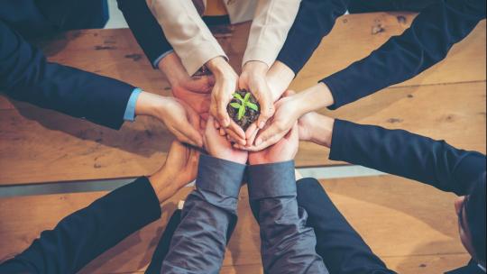 Card image informe sostenibilidad