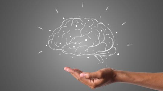 Articulo Neuroeducación Articulo Neuroeducación