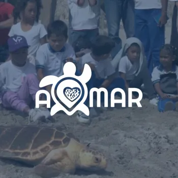 A Mar, estrategia de visibilidad de la biodiversidad en Colombia