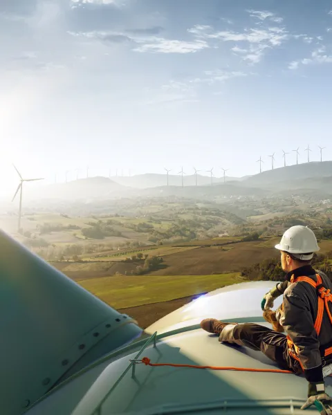 Hero Informe OBS Sector Energético 2024