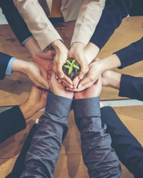 valores corporativos