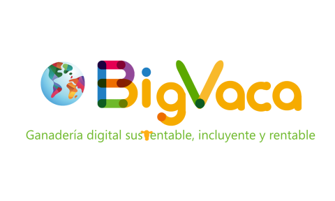 Conoce el proyecto Big Vaca, creado por un alumno de OBS